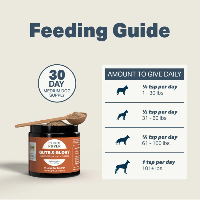 Four Leaf Rover Supplement for Dogs, Guts & Glory