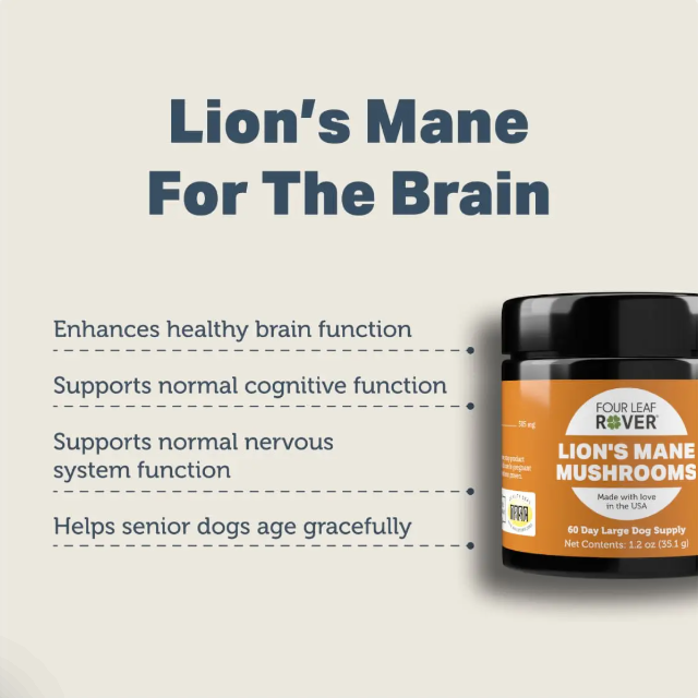 Four Leaf Rover Supplement for Dogs, Lion's Mane Mushroom