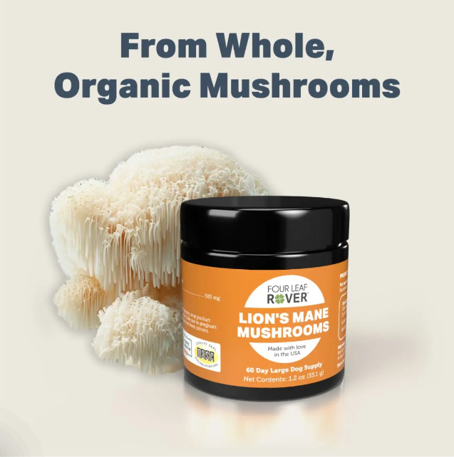 Four Leaf Rover Supplement for Dogs, Lion's Mane Mushroom