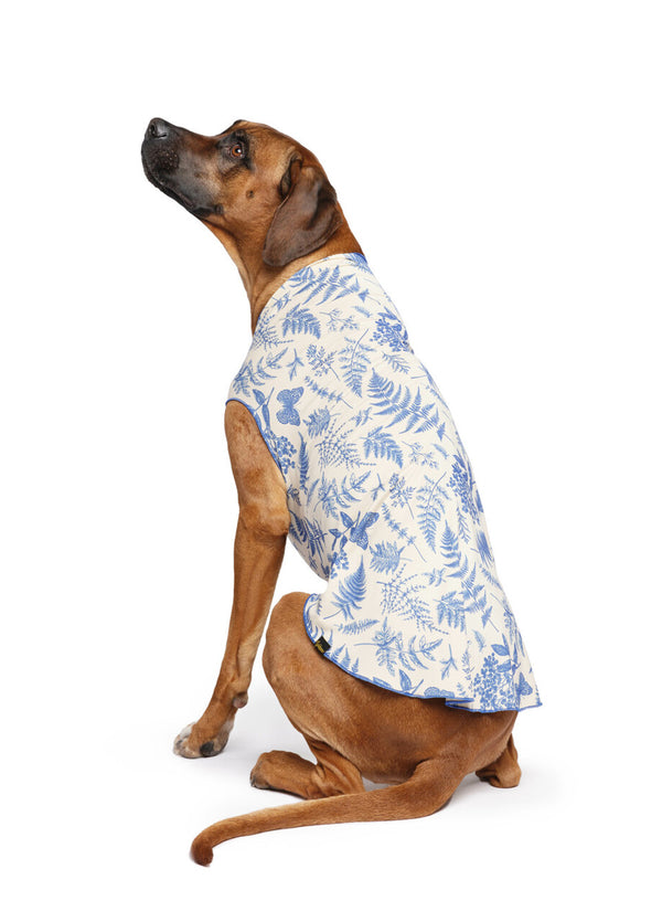 Sun Shield Tee shirts for Dogs and Cats, in Blue Fern (limited edition)