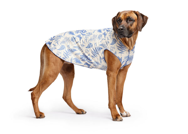 Sun Shield Tee shirts for Dogs and Cats, in Blue Fern (limited edition)