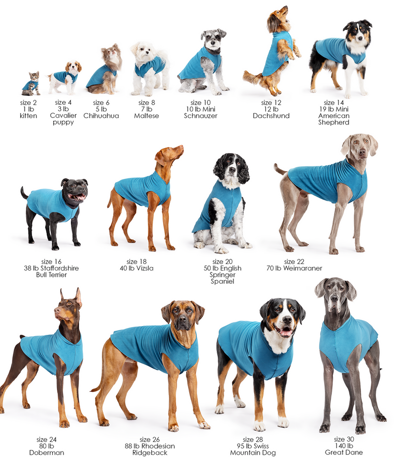 Sun Shield Tee shirts for Dogs and Cats, in Pebble