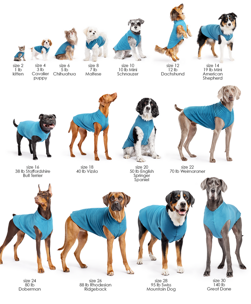 Sun Shield Tee shirts for Dogs and Cats, in Ocean Heather