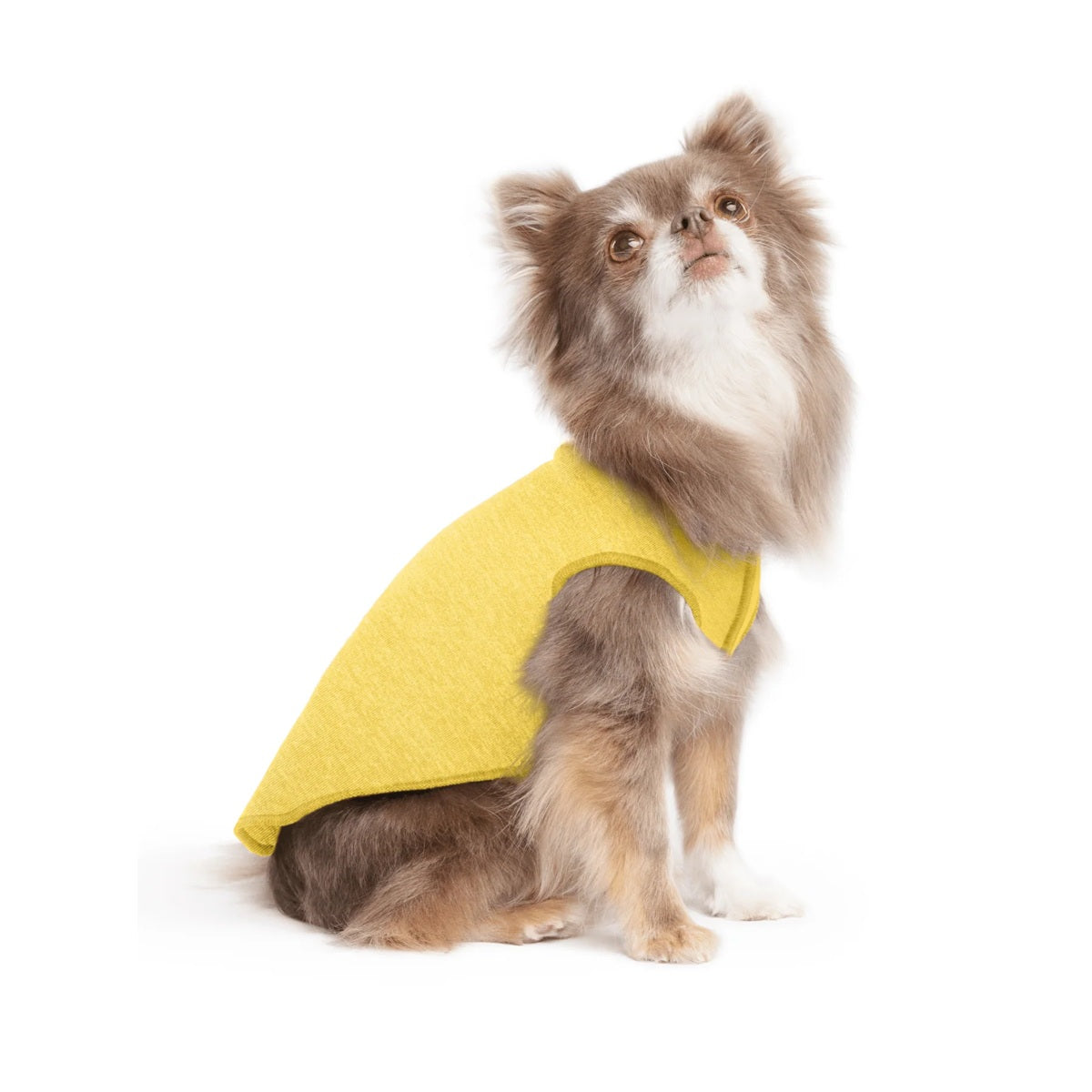 Sun Shield Tee shirts for Dogs and Cats, in Butter