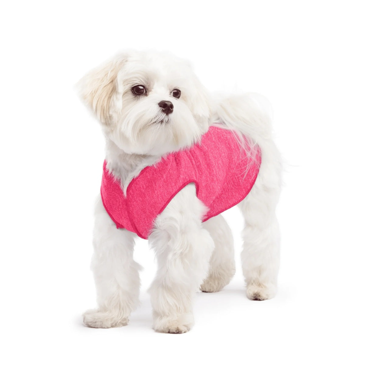 Sun Shield Tee shirts for Dogs and Cats, in Flamingo