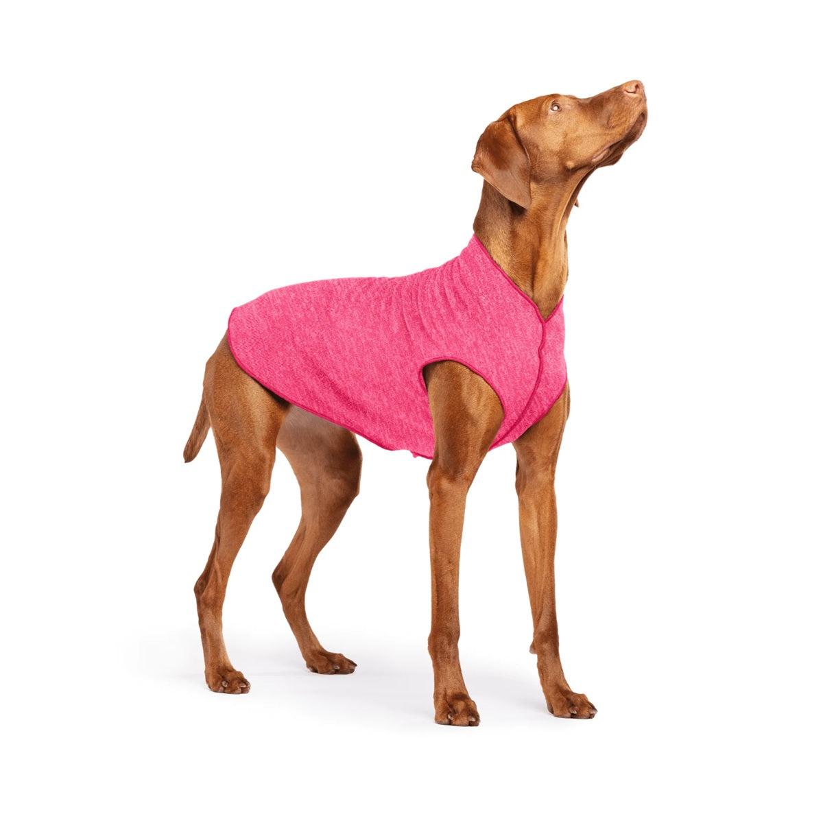 Sun Shield Tee shirts for Dogs and Cats, in Flamingo