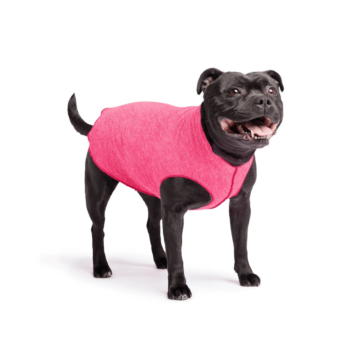 Sun Shield Tee shirts for Dogs and Cats, in Flamingo