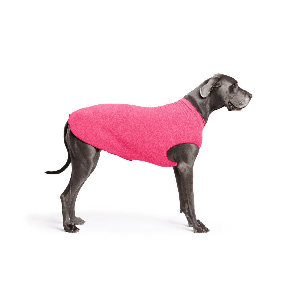Sun Shield Tee shirts for Dogs and Cats, in Flamingo
