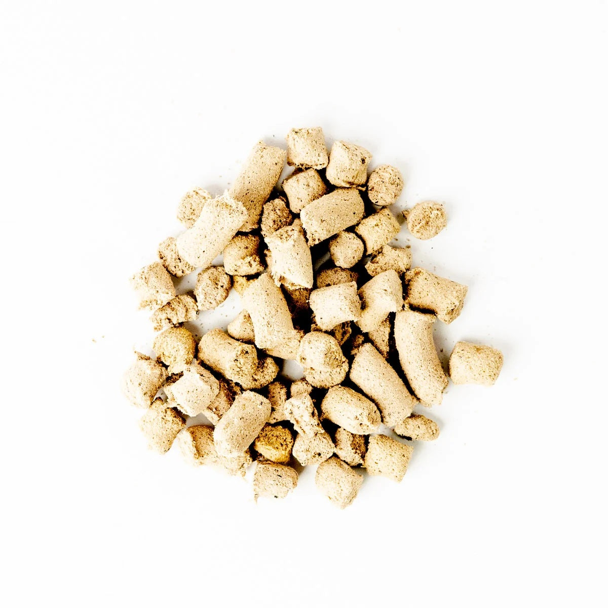 Green Juju Freeze Dried Wild Salmon bites antioxidant rich blueberry and fish organ treats for pet brain and immune support