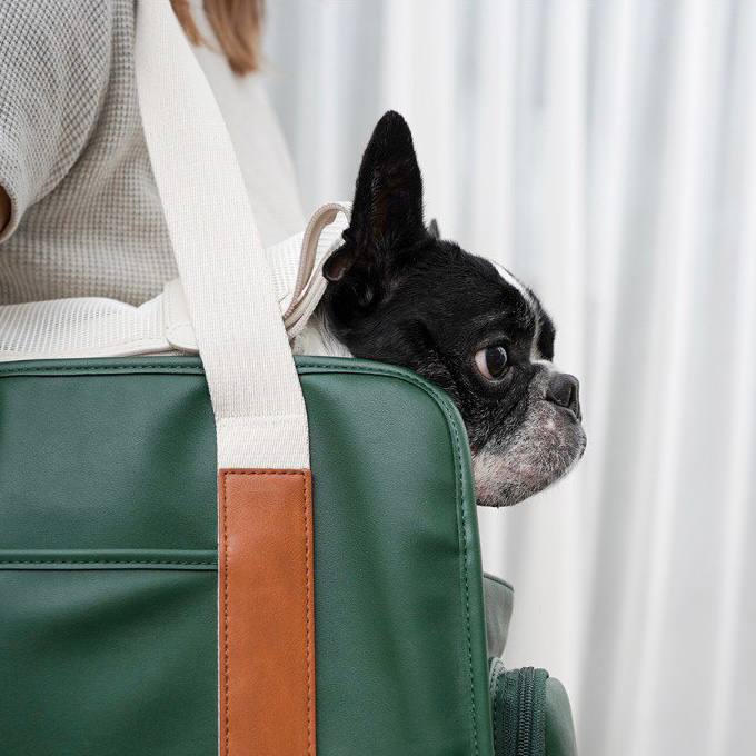 Howlpot Dog Carrier, Boston Bag Fairway