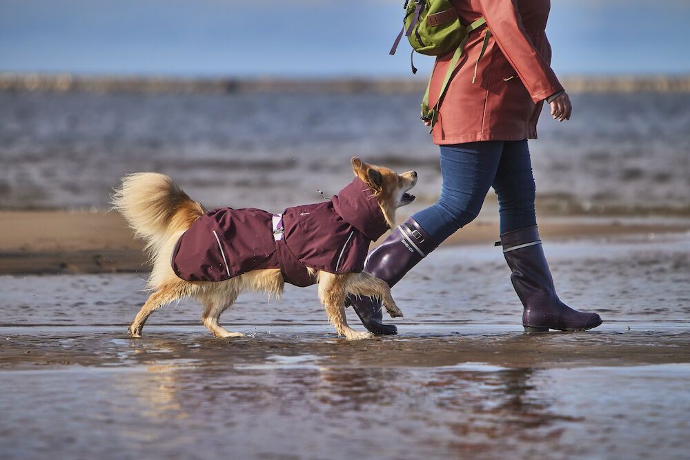 Hurtta Dog Mudventure: Raincoat Eco