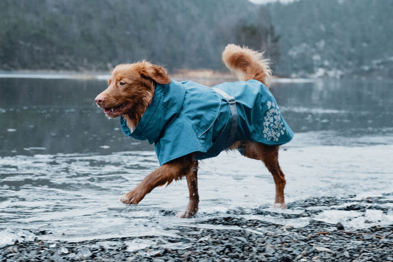 Hurtta Dog Rain Coat, Monsoon