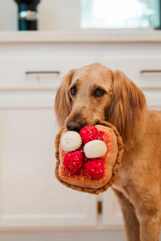 [Pre-Order] IHOP x P.L.A.Y. Squeaky Plush Dog toys, Breakfast Bundle
