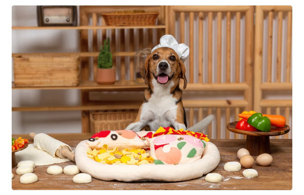 Dog Sniff and Search Interactive Nosework Snuffle Mat, The Pizza