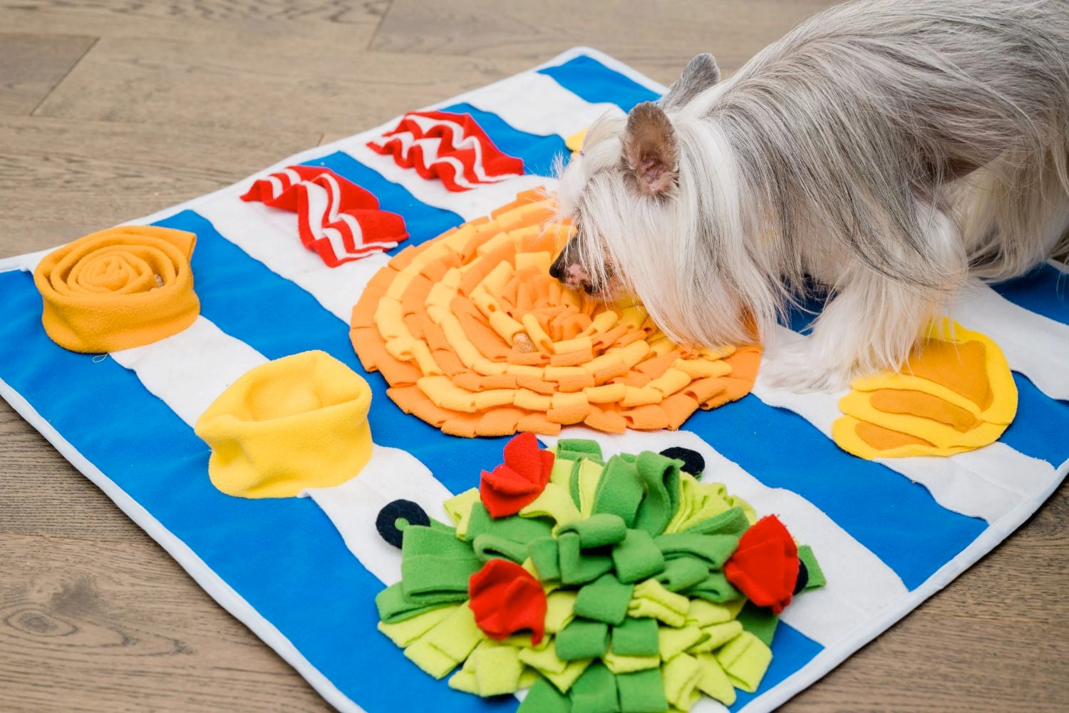 Dog Sniff and Search Interactive Nosework Snuffle Mat, the Breakfast