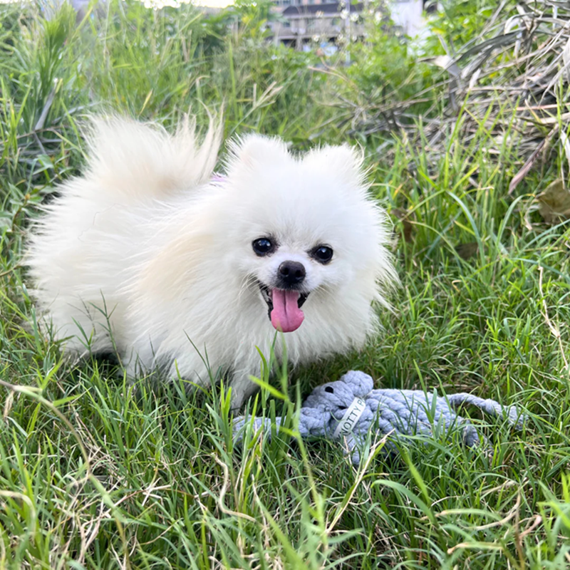 Knotty Interactive Upcycled Cotton Rope Dog Toy, Ella the Elephant
