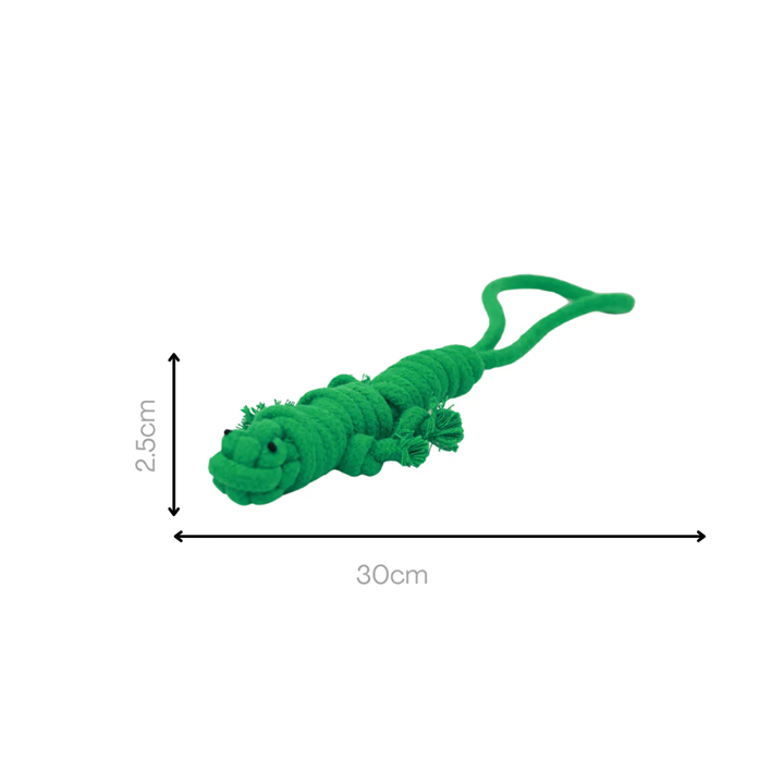Knotty Interactive Upcycled Cotton Rope Dog Toy, Owen the Green Lizard