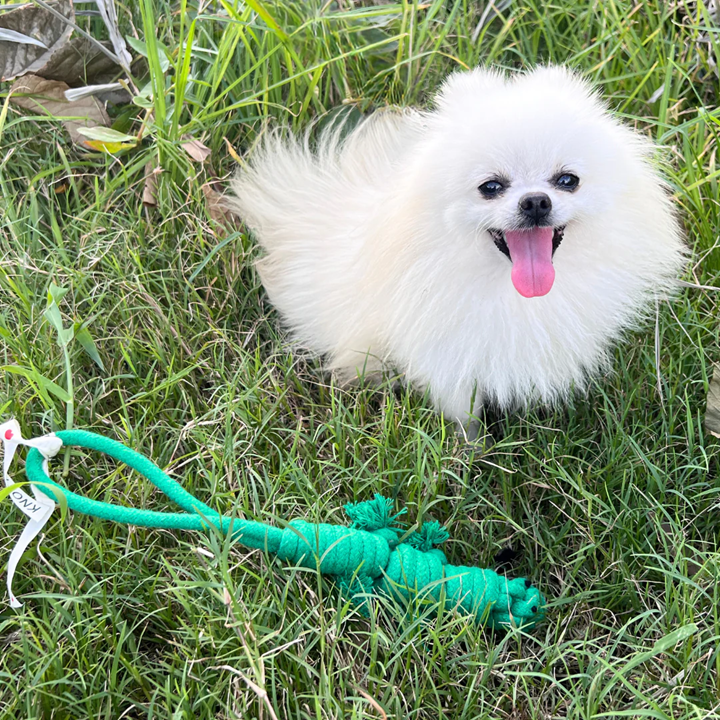 Knotty Interactive Upcycled Cotton Rope Dog Toy, Owen the Green Lizard