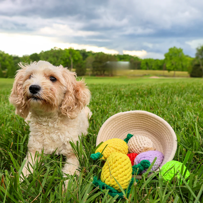 Knotty Interactive Upcycled Cotton Rope Dog Toy, Pineapple