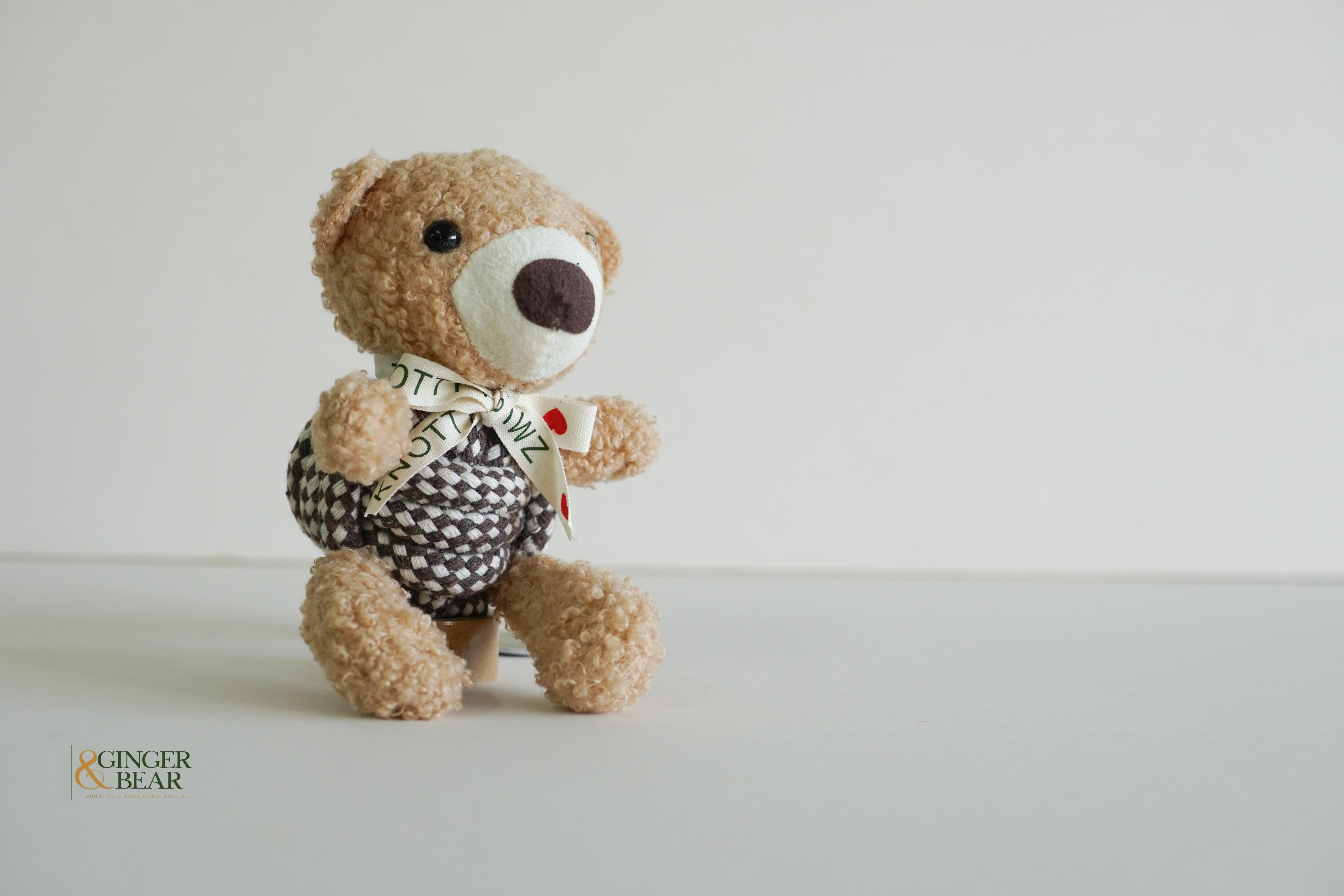 Knotty Squeaky Interactive Rope Dog Toy, Coco the Bear