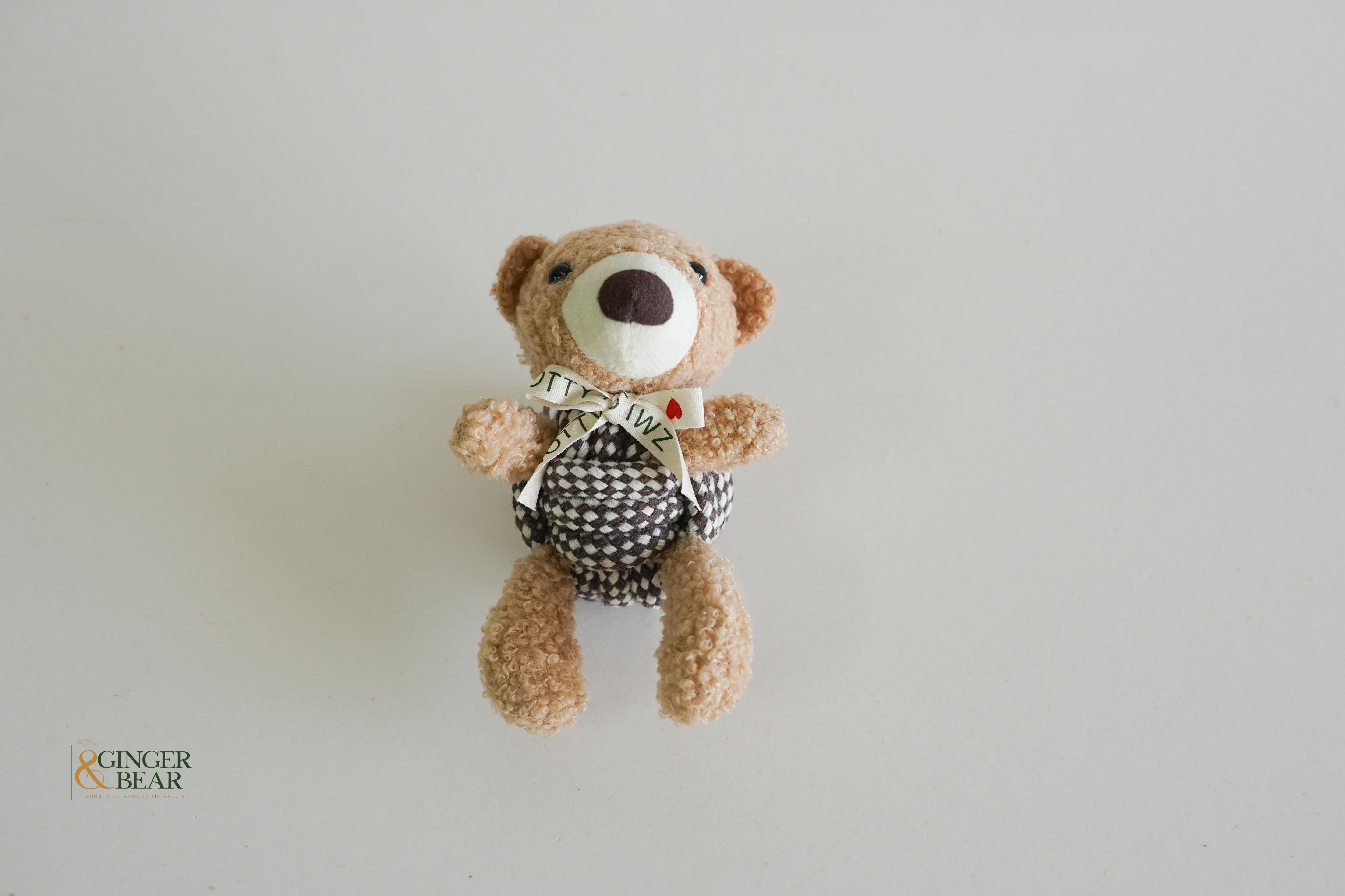 Knotty Squeaky Interactive Rope Dog Toy, Coco the Bear