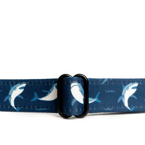 Lucy&Co Dog Collar: Shark Attack