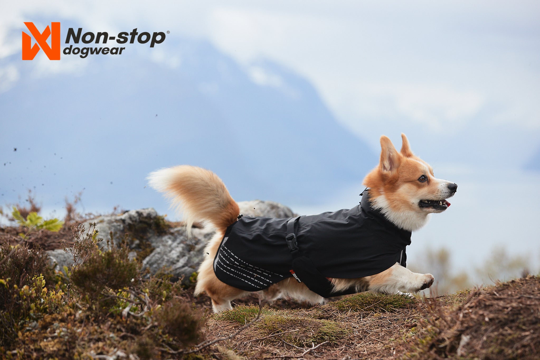 Non-Stop Dog Wear: Fjord Dog Raincoat