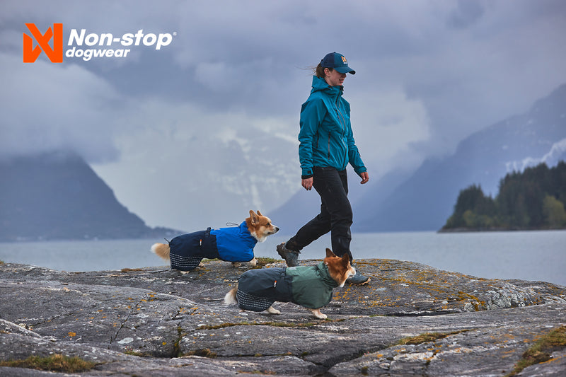 Non-Stop Dog Wear: Fjord Dog Raincoat