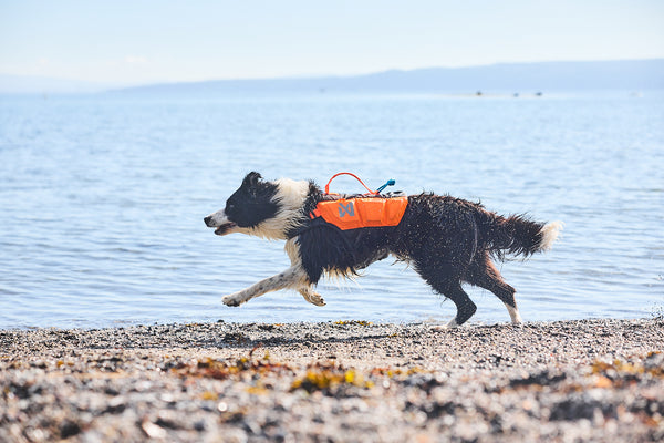 Mec dog hot sale life jacket