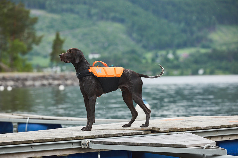 Non-Stop Dog Wear: Protector Life Jacket