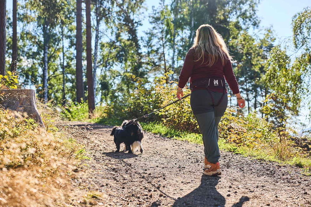 Non-Stop Dog Wear: Trekking Belt 2.0