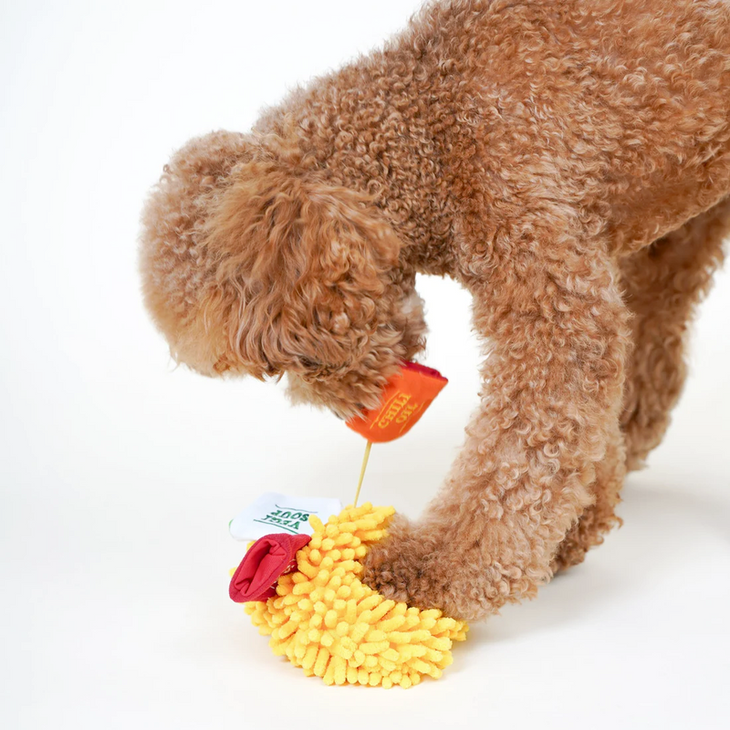 Nosework Treat dispensing Dog Toy, Spicy Ramen