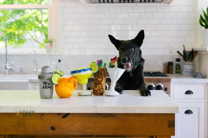 P.L.A.Y. Barktender Squeaky Plush Dog toys, Pup-arita