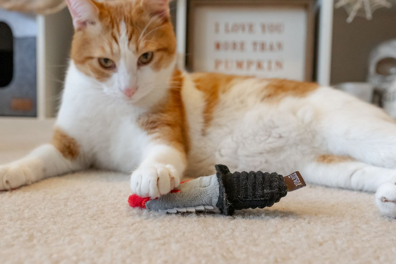 P.L.A.Y. Feline Frenzy, Cat Toy: Deadly Duo