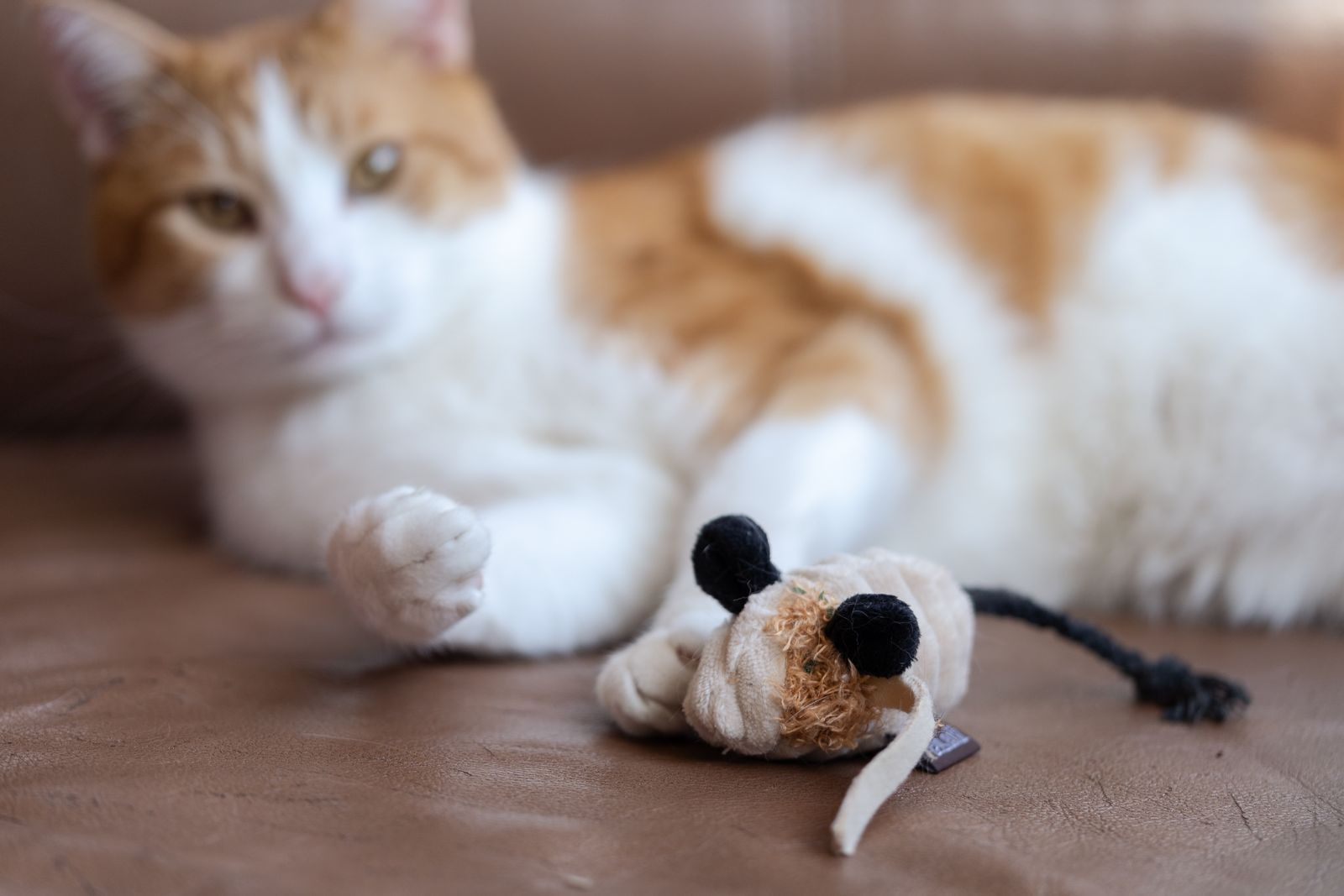 P.L.A.Y. Feline Frenzy, Cat Toy: Menacing Mice