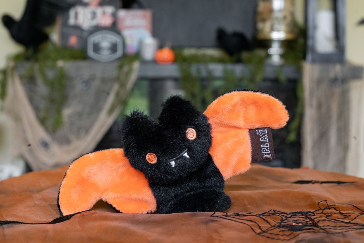 P.L.A.Y. Feline Frenzy, Cat Toy: Creepy Critters