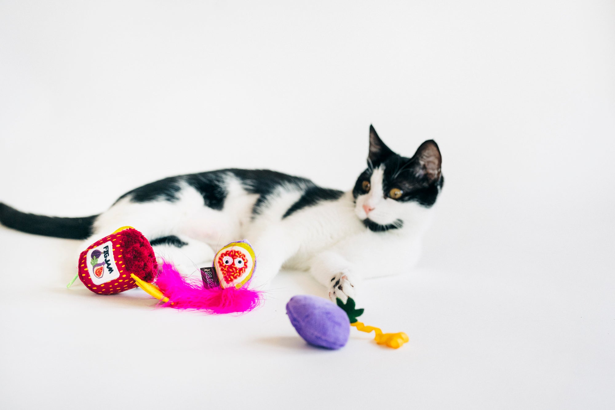 [Pre-Order] P.L.A.Y. Feline Frenzy, Catnip Toy set: Fig N' Whiskers