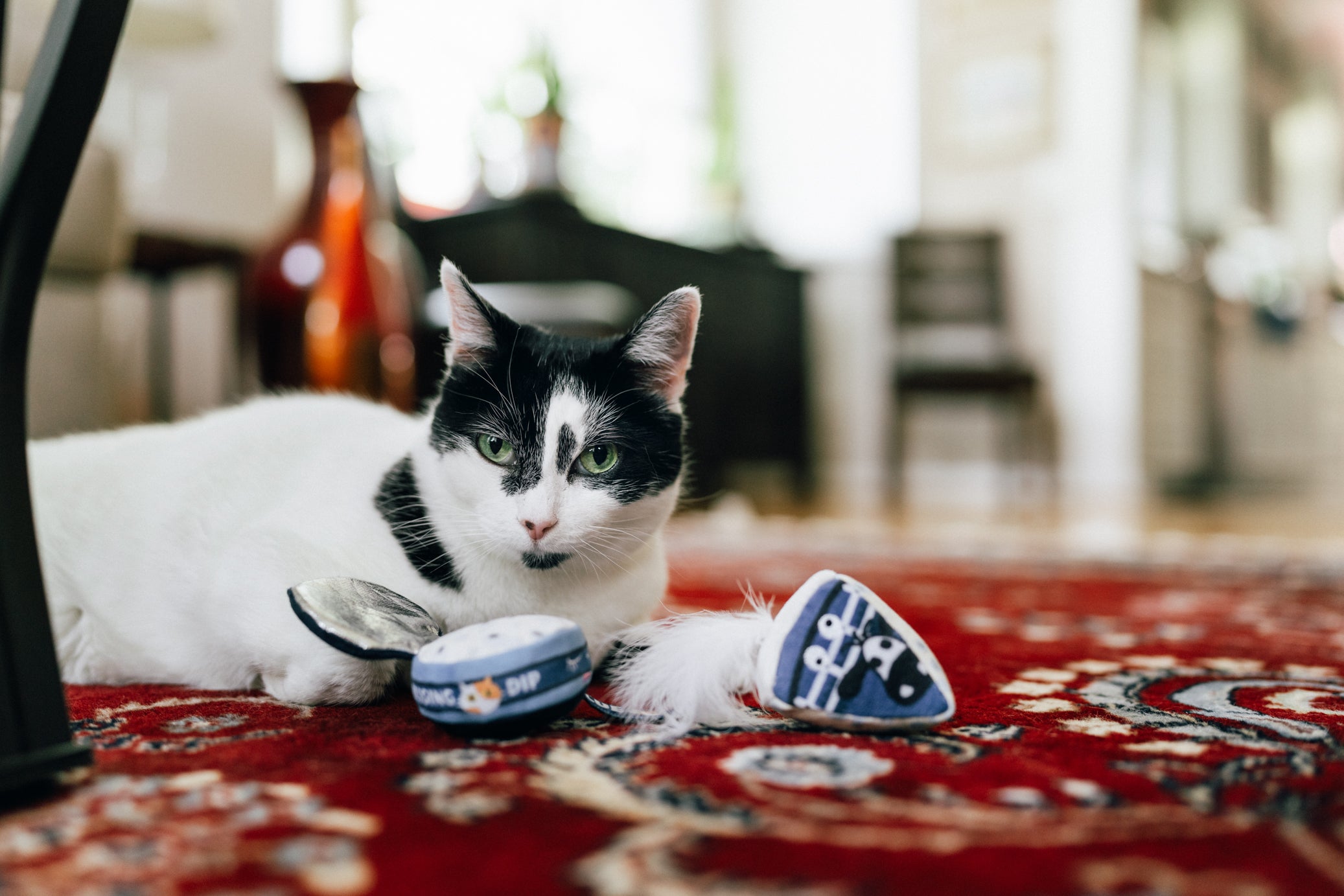 [Pre-Order] P.L.A.Y. Feline Frenzy, Catnip Toy set: Kitty Crumble