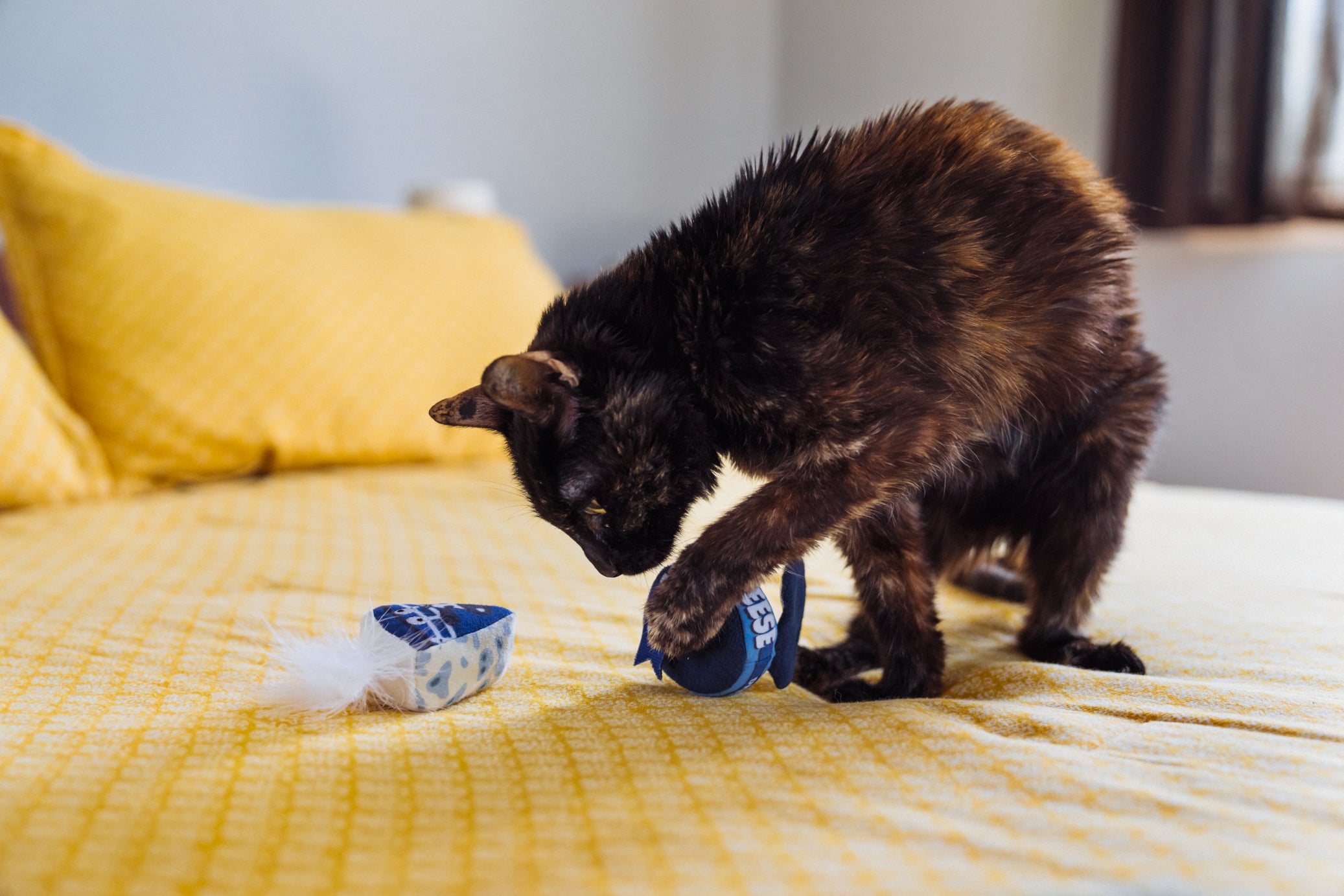 [Pre-Order] P.L.A.Y. Feline Frenzy, Catnip Toy set: Kitty Crumble