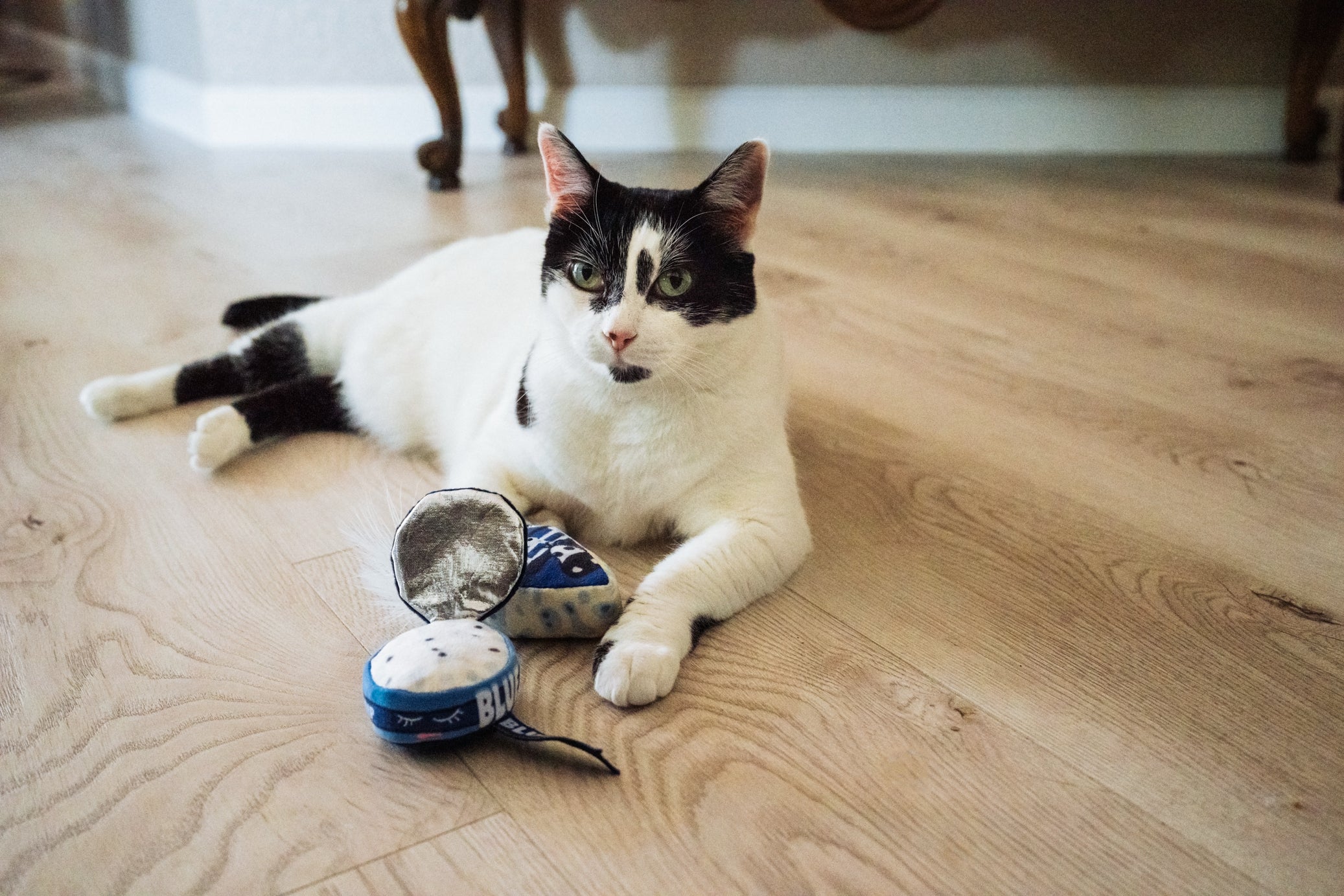 [Pre-Order] P.L.A.Y. Feline Frenzy, Catnip Toy set: Kitty Crumble