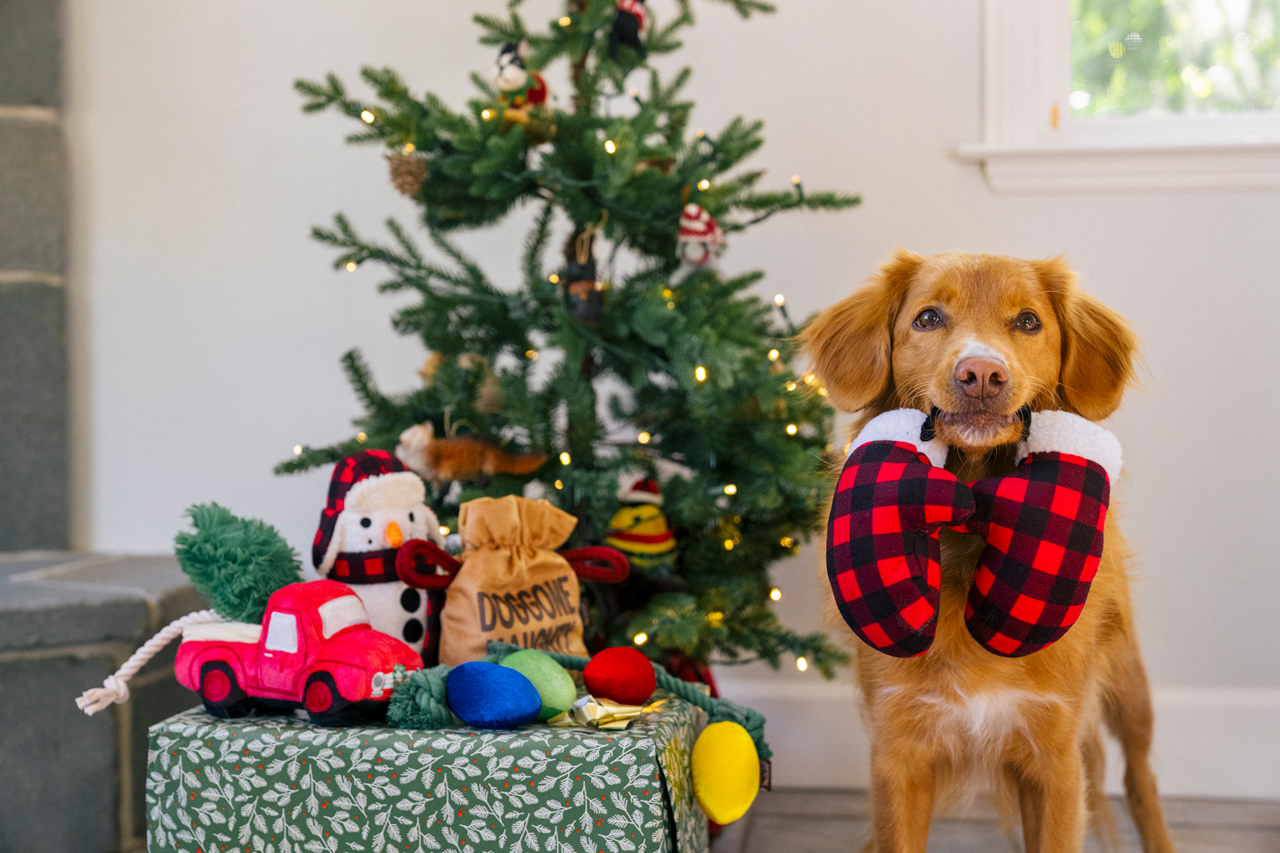 P.L.A.Y. Home for the Holidays Interactive Dog Toy Snowman