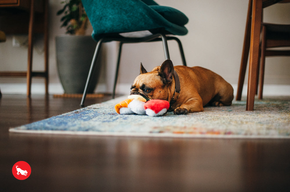 P.L.A.Y. The International Classic Squeaky Plush Dog Toy, Sushi