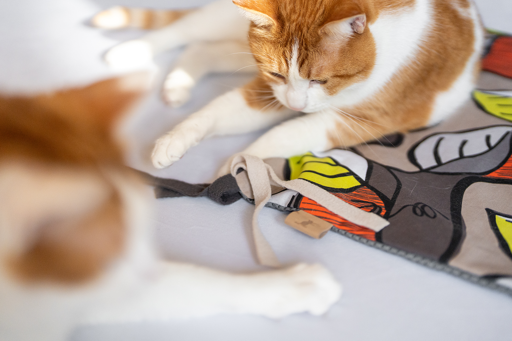 P.L.A.Y. Purrfect Playtime Mat