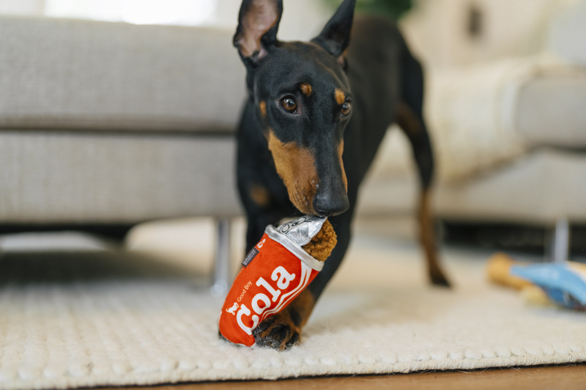 [Pre-Order] P.L.A.Y. Snack Attack Squeaky Plush Dog toys, Good Boy Cola (mini sized)