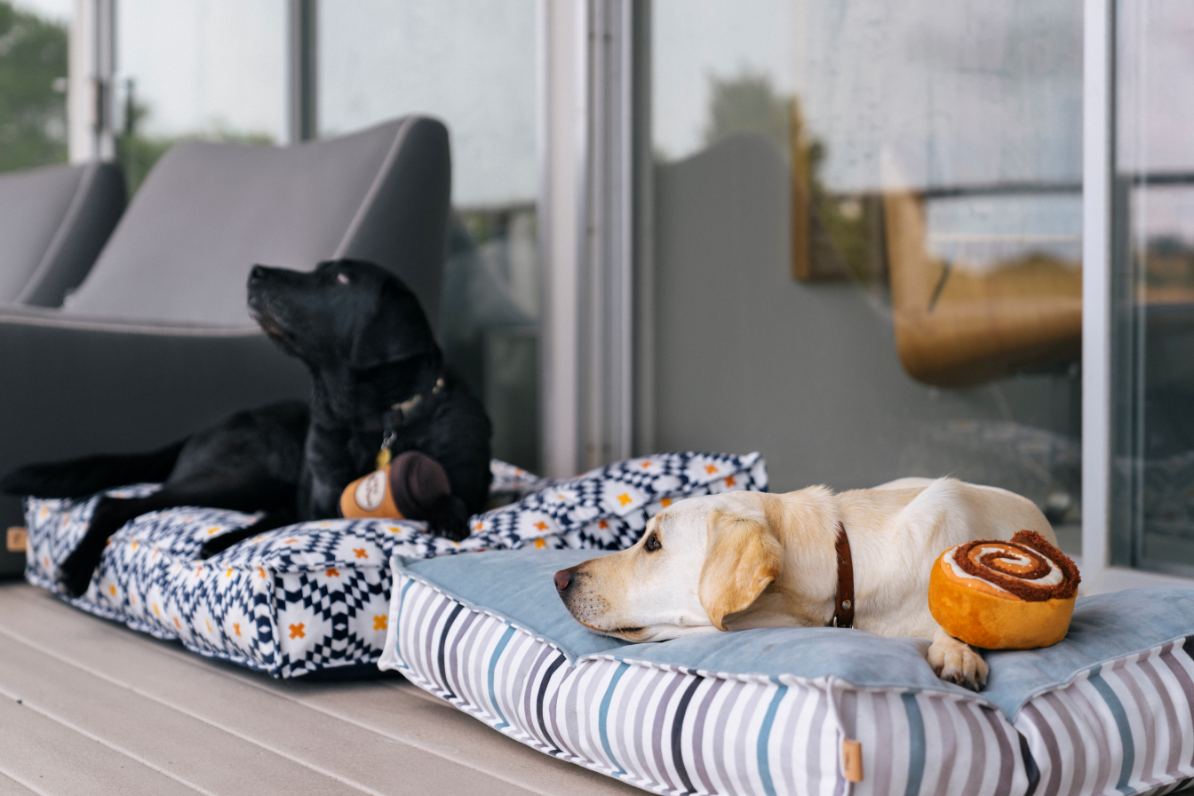 Standard Dog Bed: Seaside Boxy Oyster Grey