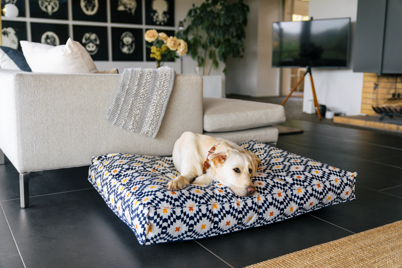 Standard Dog Bed: Marina Boxy Cobalt Blue