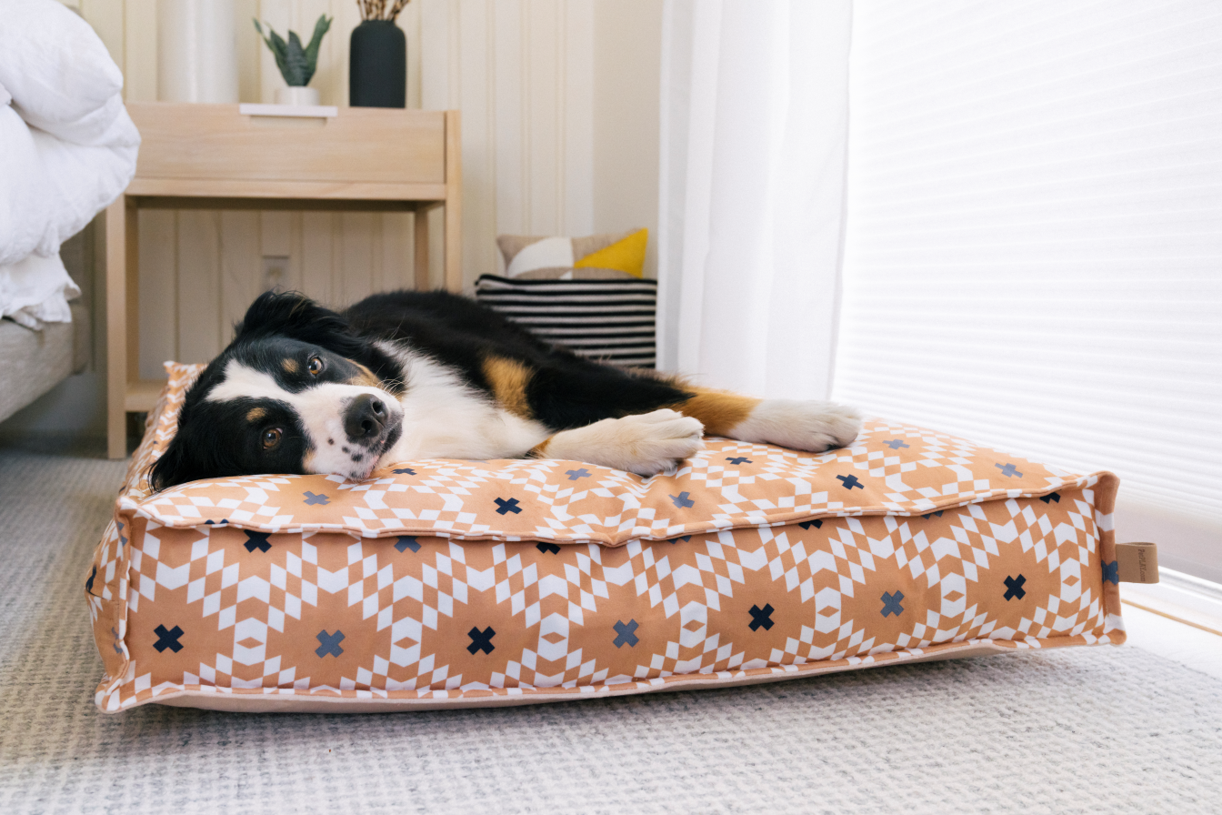 Standard Dog Bed: Marina Boxy Sand