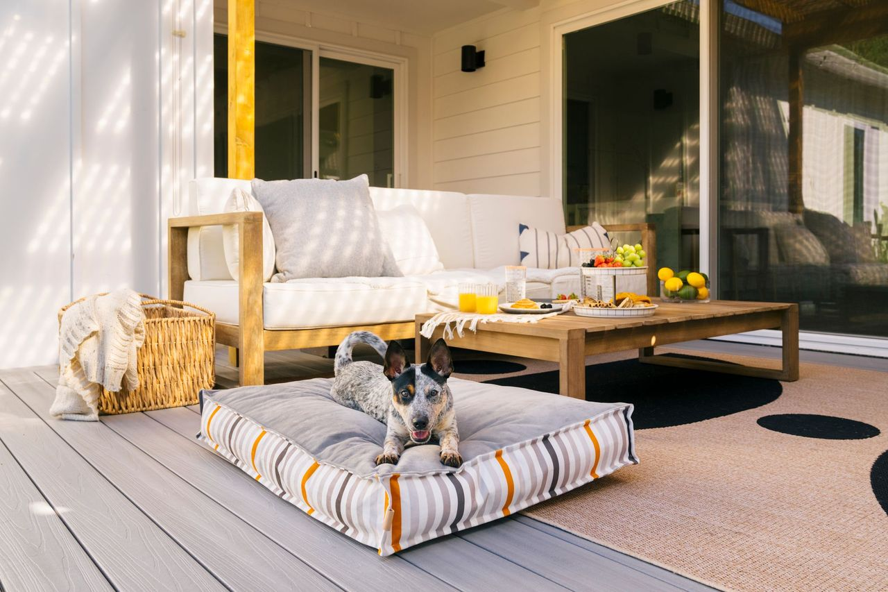 Standard Dog Bed: Seaside Boxy Oyster Grey