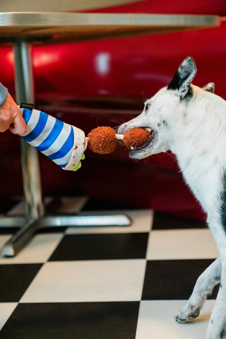 [Pre-Order] P.L.A.Y. The International Classic Squeaky Plush Dog Toy, Fur-lafel Wrap