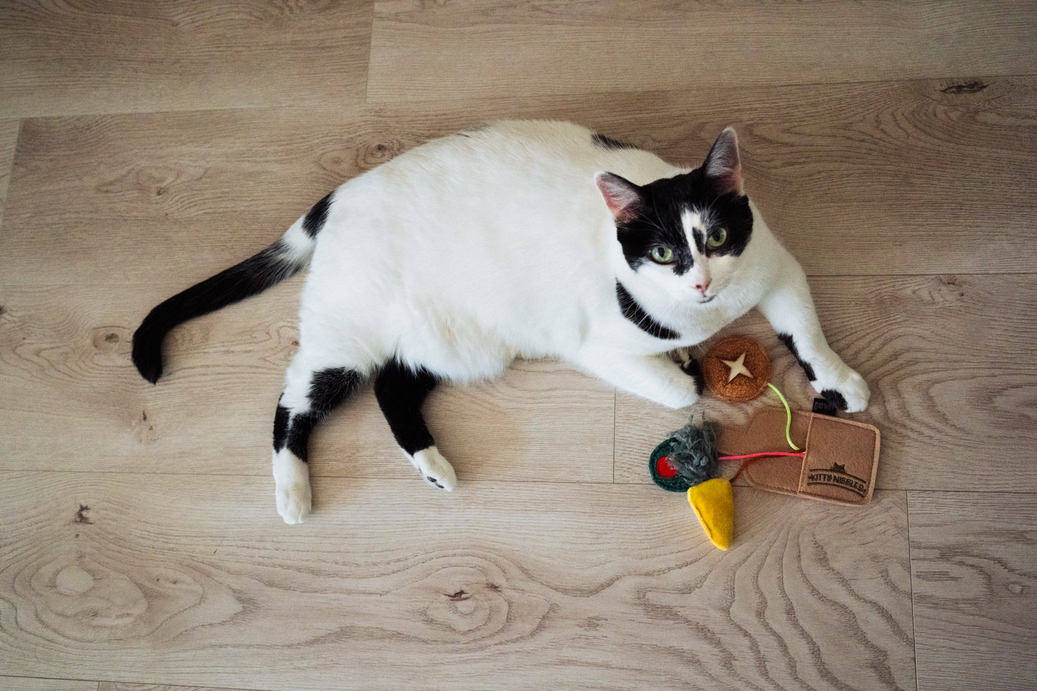 [Pre-Order] P.L.A.Y. Feline Frenzy, Catnip Toy set: Purrfect Pairings
